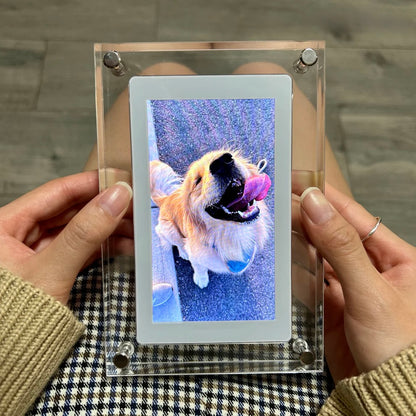 SnapFrame™ Digital Video Frame